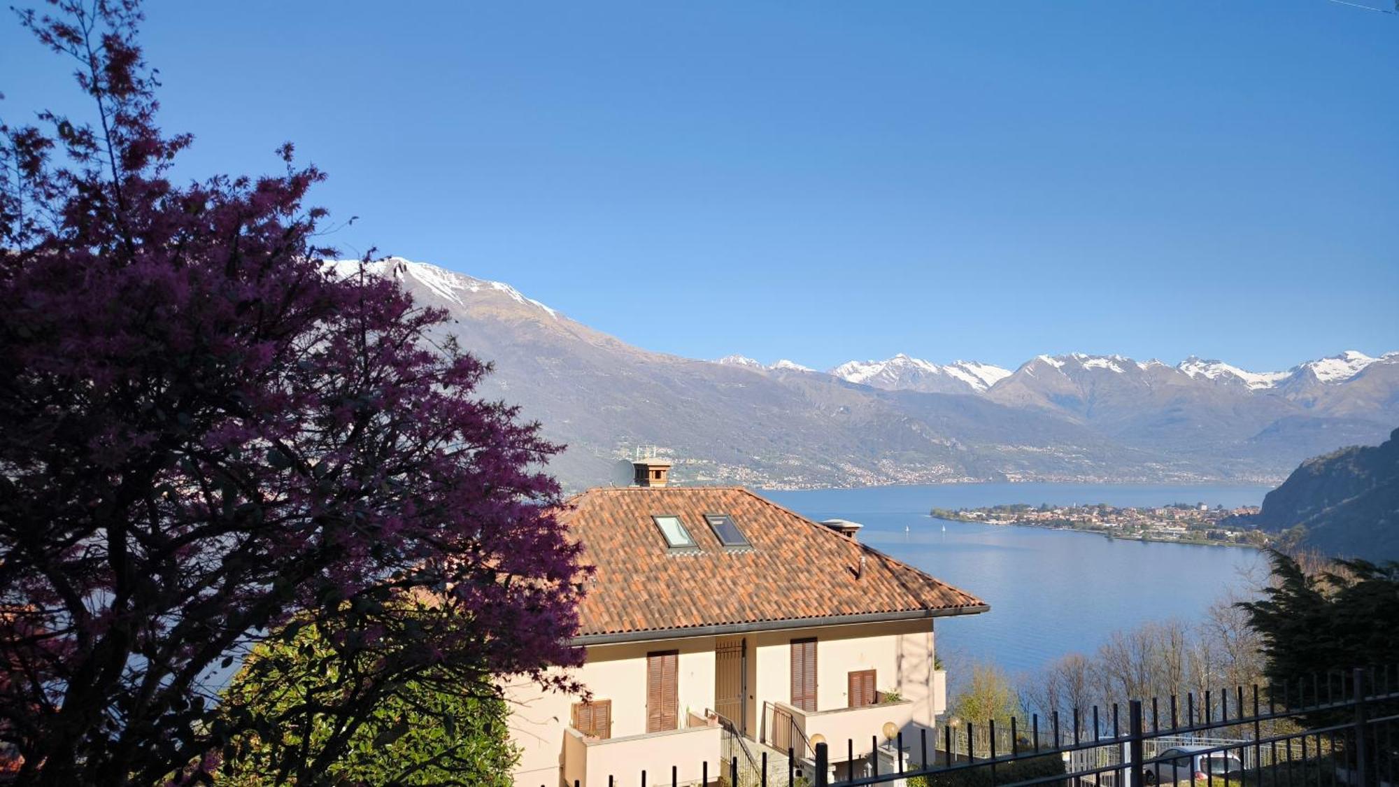 Apartment With Garden And Terrace Beautiful Lake View Bellano Zewnętrze zdjęcie