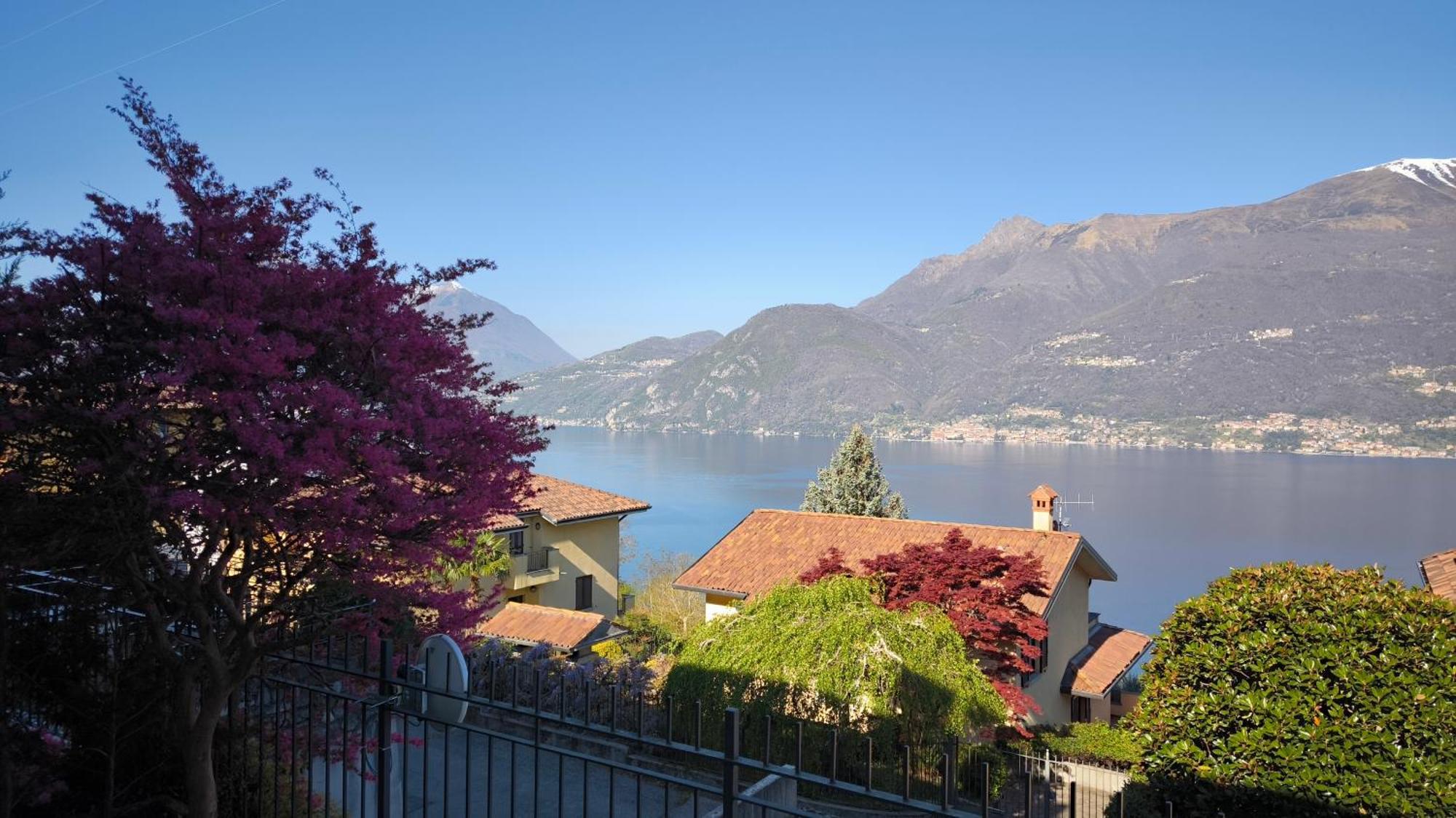 Apartment With Garden And Terrace Beautiful Lake View Bellano Zewnętrze zdjęcie